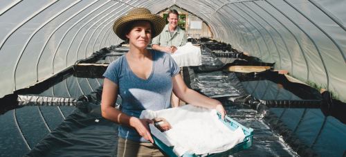 Two people working in a greenhouse, one carrying a tray of salt, with water-filled trays in the background.