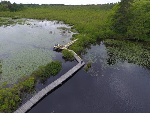 Aerial view of a wooden boardwalk leading to a dock over a serene wetland with lush greenery and water lilies.