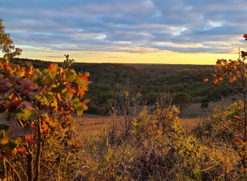 A scenic view of rolling hills at sunset, framed by colorful autumn foliage and a cloudy sky.