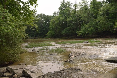A serene river scene surrounded by lush green trees and rocky banks, with gentle water flow and patches of grass.
