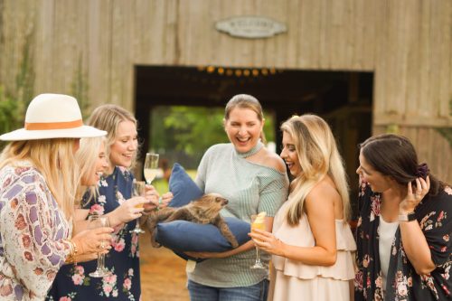 A group of women joyfully gather around a woman holding a sloth, celebrating with drinks in a rustic outdoor setting.