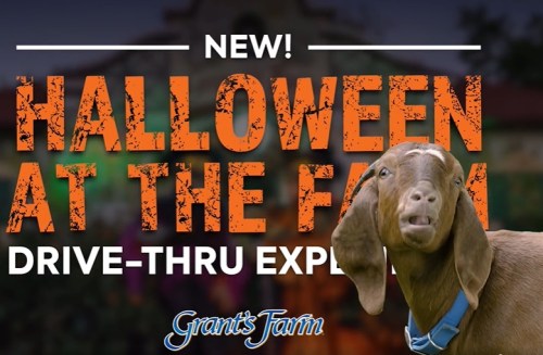 A goat in front of a Halloween-themed sign for a drive-thru event at Grant's Farm.