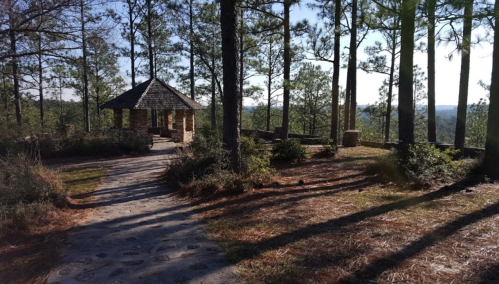 A stone gazebo surrounded by tall pine trees, with a winding path leading through a serene forest landscape.