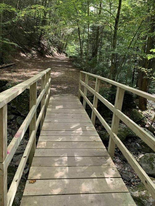 A wooden bridge spans a rocky path through a lush, green forest with dappled sunlight filtering through the trees.