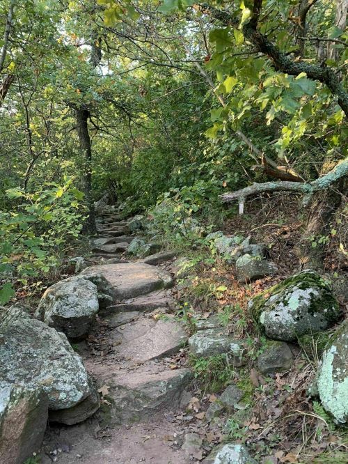 A rocky trail winds through a lush, green forest with trees and scattered boulders.
