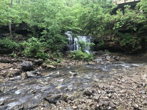 A serene stream flows over rocks, with a small waterfall surrounded by lush green trees and foliage.