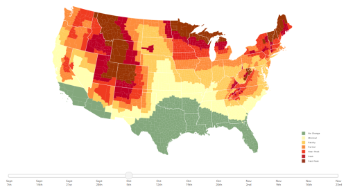Map of the U.S. showing fall foliage progression from September to November, with color-coded peak times for leaf changes.