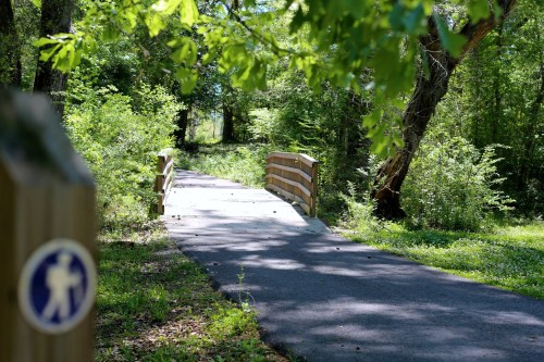A serene pathway leads to a wooden bridge, surrounded by lush greenery and dappled sunlight.