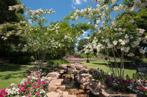 A serene garden scene featuring flowering trees, a small stream, and colorful flowers under a clear blue sky.