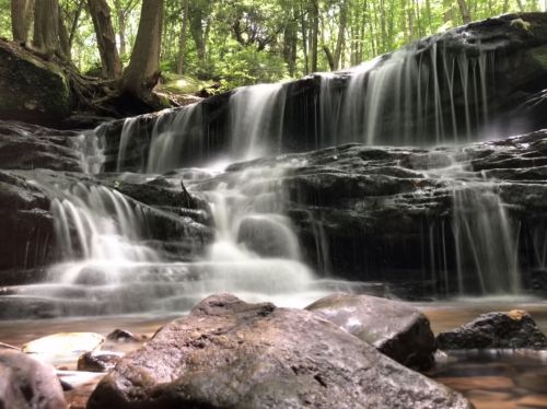A serene waterfall cascades over rocks in a lush green forest, surrounded by trees and soft sunlight.