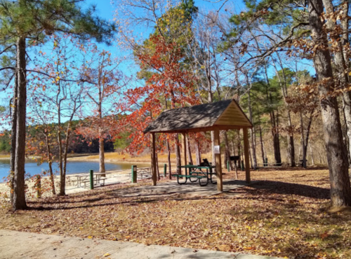 A wooden gazebo surrounded by trees with autumn leaves, near a calm lake on a sunny day.