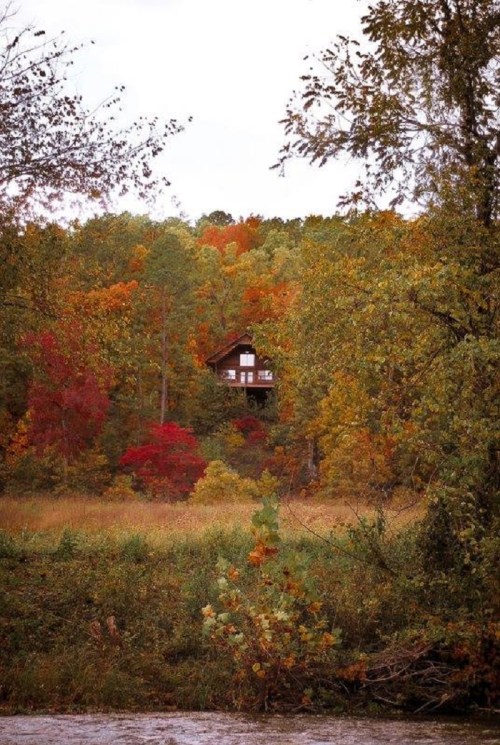 A cozy cabin nestled among vibrant autumn trees by a serene river.