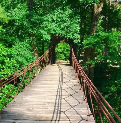A rustic wooden bridge surrounded by lush green trees, leading into a shaded archway.