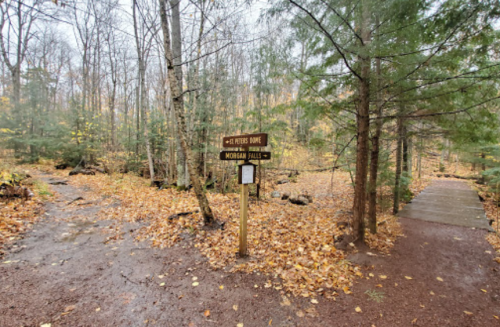 A wooden signpost at a forest trail junction, indicating paths to "Rivers Dome" and "Morgan Falls," surrounded by autumn leaves.
