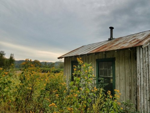 A rustic cabin with a rusty roof surrounded by wildflowers under a cloudy sky.