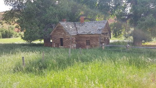 An old, weathered wooden house surrounded by tall green grass and trees in a rural setting.