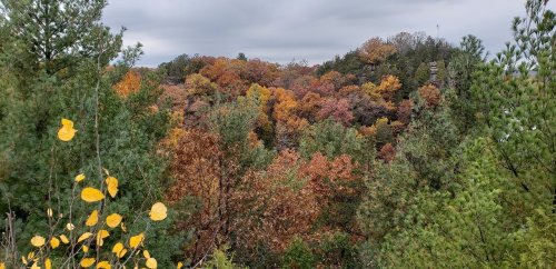 A scenic view of autumn foliage with vibrant orange, yellow, and green trees under a cloudy sky.