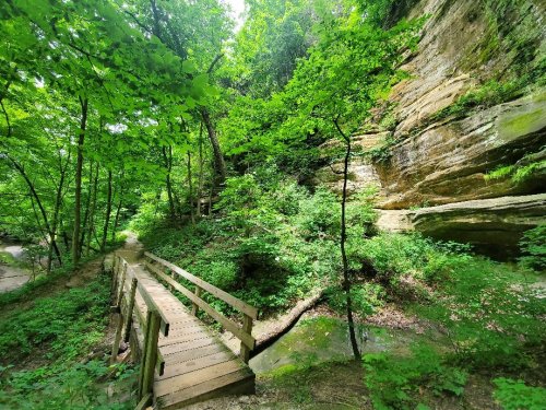 A wooden bridge crosses a lush, green forest path beside a rocky cliff, surrounded by vibrant foliage.