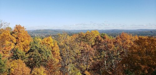 A panoramic view of vibrant autumn trees with orange and yellow leaves against a clear blue sky.