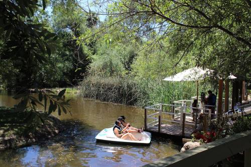 Two people relax on a paddleboard in a serene, green landscape with a wooden dock and lush vegetation nearby.