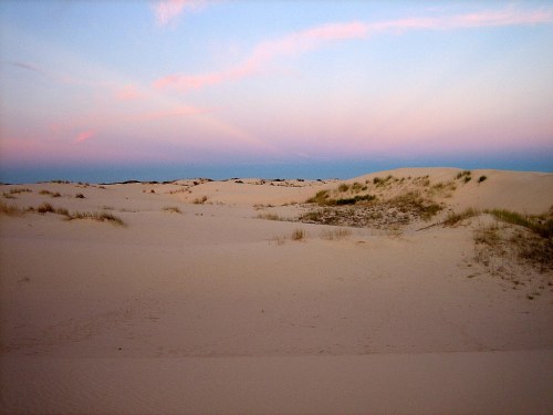 A serene landscape of sand dunes under a pastel sky at dusk, with gentle grasses scattered throughout the scene.