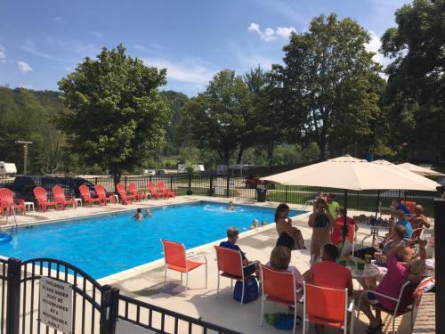 A sunny pool area with people swimming, lounging on chairs, and enjoying a gathering under an umbrella.