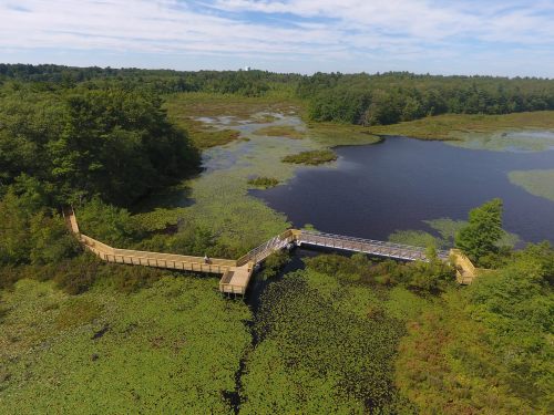 Aerial view of a wooden boardwalk winding through a lush wetland with a calm lake and greenery surrounding it.