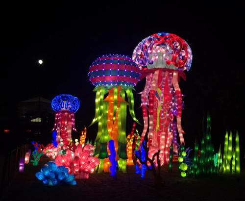 Colorful illuminated jellyfish and coral sculptures glowing at night, with a full moon in the background.