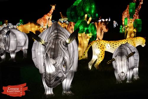Colorful illuminated animal lanterns, including rhinos, giraffes, and leopards, displayed at a night festival.