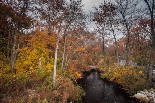 A serene autumn landscape featuring a winding stream surrounded by vibrant fall foliage and bare trees.