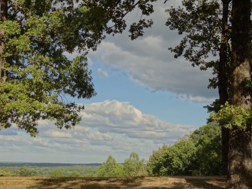 A scenic view framed by trees, showcasing a blue sky with clouds and rolling green hills in the distance.