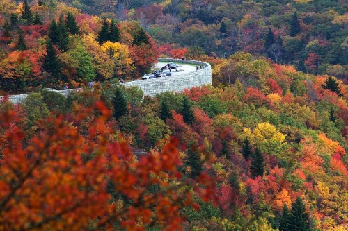 A scenic overlook surrounded by vibrant autumn foliage in shades of red, orange, and yellow.