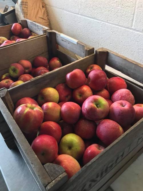 Two wooden crates filled with red and green apples, stacked in a bright indoor space.
