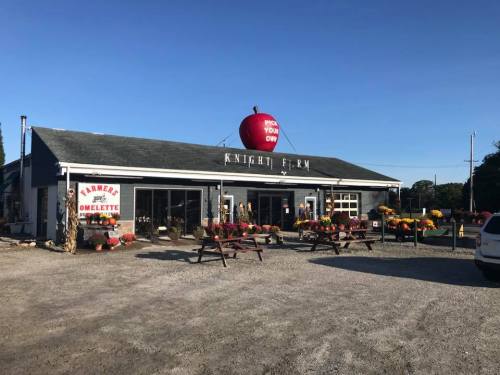 A farm stand with a large apple sign, surrounded by flowers and picnic tables, under a clear blue sky.