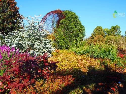 A vibrant botanical garden with colorful flowers, lush greenery, and a unique metal structure against a clear blue sky.