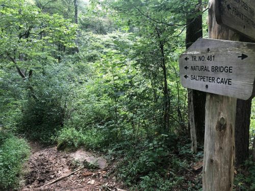 A wooden signpost in a lush green forest, indicating directions to Natural Bridge and Saltpeter Cave along a trail.