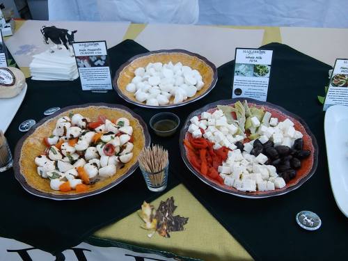 Three colorful platters of cheese, olives, and vegetables displayed on a table with toothpicks and informational cards.