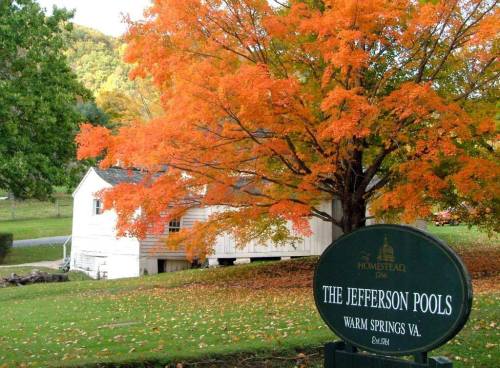 A vibrant orange tree stands near a white building, with a sign reading "The Jefferson Pools, Warm Springs VA."