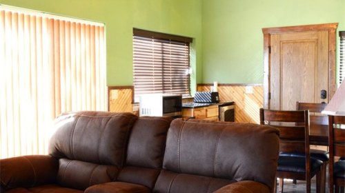 Cozy living area with a brown couch, wooden dining table, and kitchen appliances against a green wall.