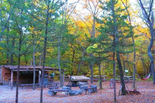 A serene campsite surrounded by trees with autumn foliage, featuring picnic tables, a fire pit, and a hammock.