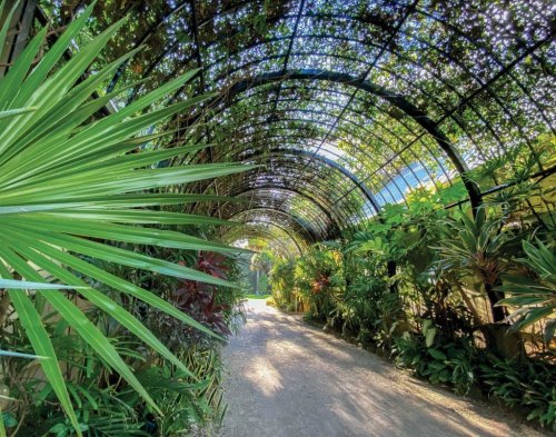 A lush, green garden path arches under a trellis, surrounded by vibrant tropical plants.