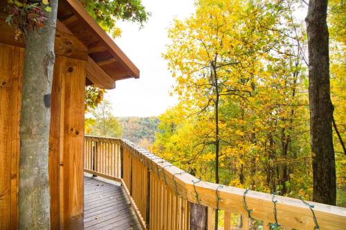 A wooden deck surrounded by vibrant autumn trees, showcasing yellow leaves against a cloudy sky.