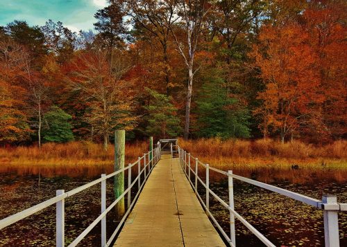 A wooden walkway leads through vibrant autumn trees to a calm water's edge, reflecting the colorful foliage.