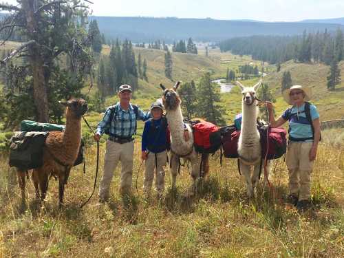 A group of four people stands with llamas in a scenic landscape, surrounded by trees and mountains.