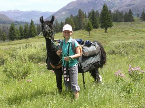 A child stands beside a llama in a grassy field, surrounded by trees and mountains in the background.