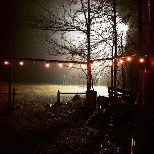 A dimly lit scene at night with a bench, string lights, and foggy trees creating a mysterious atmosphere.