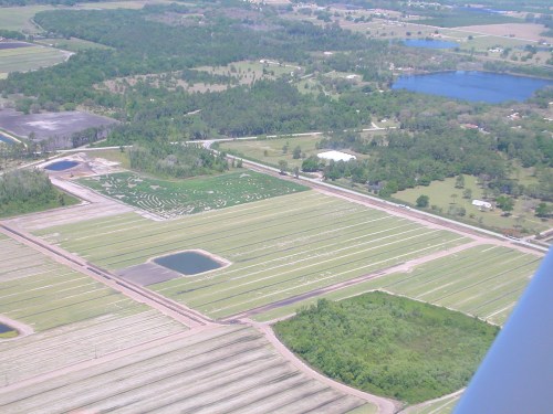 Aerial view of farmland with neatly arranged rows, ponds, and surrounding greenery in a rural landscape.