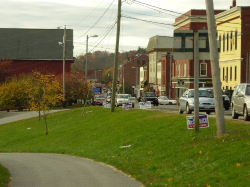 A street scene with colorful autumn trees, parked cars, and various campaign signs along the grassy sidewalk.