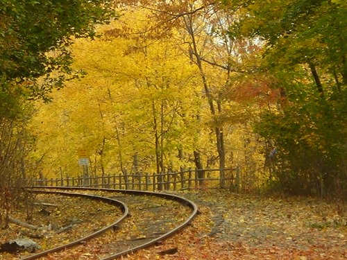 Curving train tracks surrounded by vibrant autumn foliage in shades of yellow and orange.