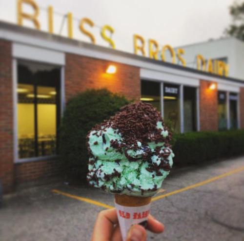 A hand holds a mint chocolate chip ice cream cone topped with chocolate sprinkles in front of a dairy shop.
